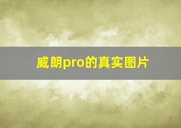 威朗pro的真实图片