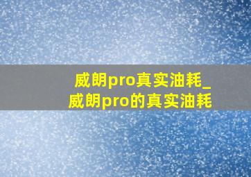 威朗pro真实油耗_威朗pro的真实油耗