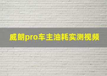 威朗pro车主油耗实测视频