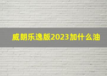 威朗乐逸版2023加什么油