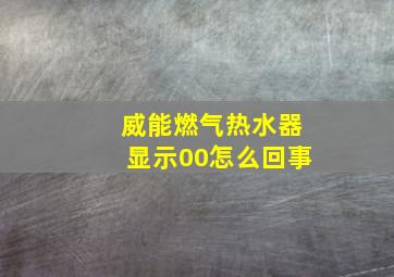 威能燃气热水器显示00怎么回事