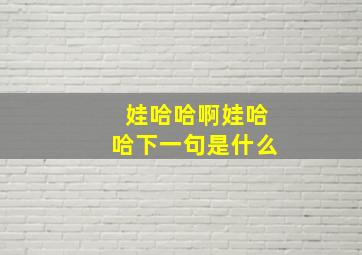 娃哈哈啊娃哈哈下一句是什么