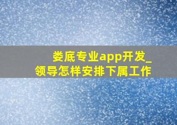 娄底专业app开发_领导怎样安排下属工作