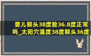 婴儿额头38度脸36.8度正常吗_太阳穴温度38度额头36度正常吗