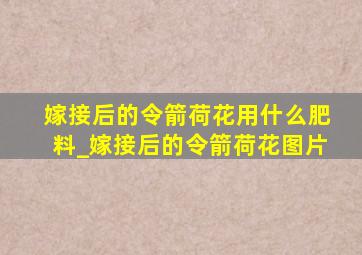 嫁接后的令箭荷花用什么肥料_嫁接后的令箭荷花图片