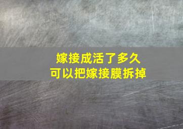 嫁接成活了多久可以把嫁接膜拆掉