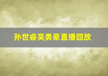 孙世睿吴勇豪直播回放