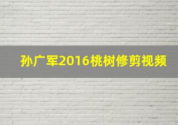 孙广军2016桃树修剪视频