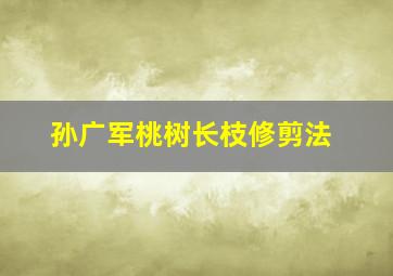 孙广军桃树长枝修剪法