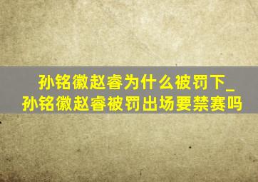 孙铭徽赵睿为什么被罚下_孙铭徽赵睿被罚出场要禁赛吗