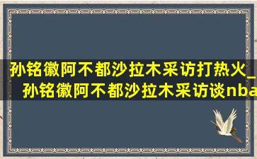 孙铭徽阿不都沙拉木采访打热火_孙铭徽阿不都沙拉木采访谈nba