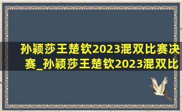 孙颖莎王楚钦2023混双比赛决赛_孙颖莎王楚钦2023混双比赛