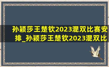 孙颖莎王楚钦2023混双比赛安排_孙颖莎王楚钦2023混双比赛直播