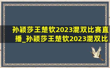 孙颖莎王楚钦2023混双比赛直播_孙颖莎王楚钦2023混双比赛