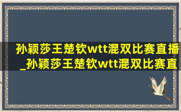 孙颖莎王楚钦wtt混双比赛直播_孙颖莎王楚钦wtt混双比赛直播赛程