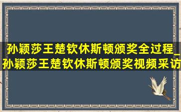 孙颖莎王楚钦休斯顿颁奖全过程_孙颖莎王楚钦休斯顿颁奖视频采访