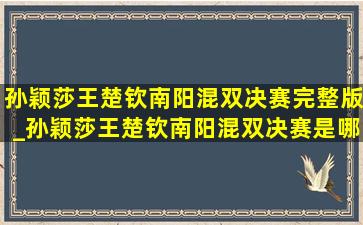 孙颖莎王楚钦南阳混双决赛完整版_孙颖莎王楚钦南阳混双决赛是哪天