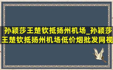 孙颖莎王楚钦抵扬州机场_孙颖莎王楚钦抵扬州机场(低价烟批发网)视频