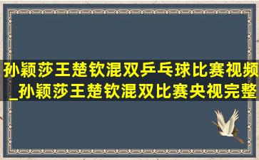 孙颖莎王楚钦混双乒乓球比赛视频_孙颖莎王楚钦混双比赛央视完整版