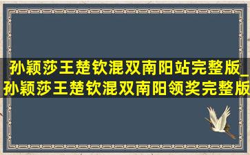 孙颖莎王楚钦混双南阳站完整版_孙颖莎王楚钦混双南阳领奖完整版