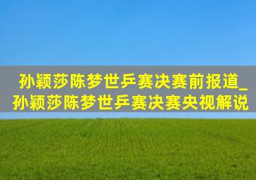 孙颖莎陈梦世乒赛决赛前报道_孙颖莎陈梦世乒赛决赛央视解说