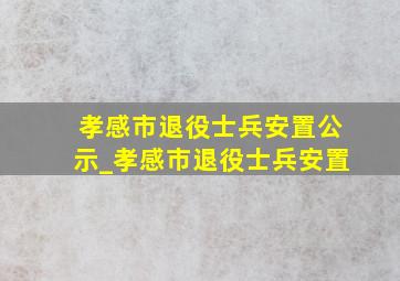 孝感市退役士兵安置公示_孝感市退役士兵安置