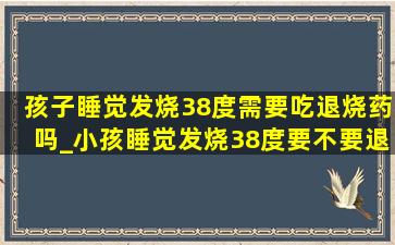 孩子睡觉发烧38度需要吃退烧药吗_小孩睡觉发烧38度要不要退烧药