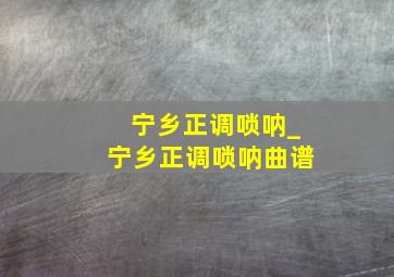 宁乡正调唢呐_宁乡正调唢呐曲谱