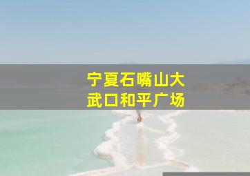 宁夏石嘴山大武口和平广场