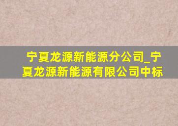 宁夏龙源新能源分公司_宁夏龙源新能源有限公司中标