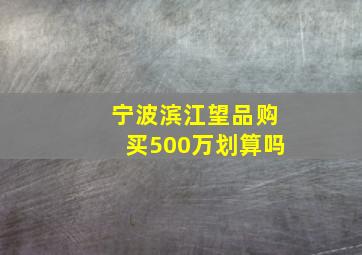 宁波滨江望品购买500万划算吗