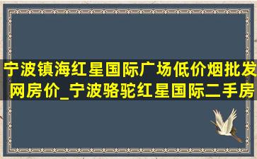 宁波镇海红星国际广场(低价烟批发网)房价_宁波骆驼红星国际二手房房价