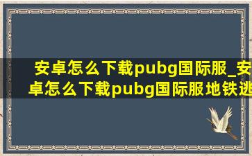 安卓怎么下载pubg国际服_安卓怎么下载pubg国际服地铁逃生