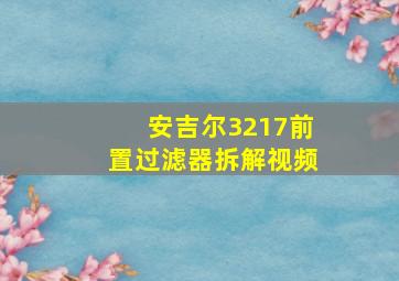 安吉尔3217前置过滤器拆解视频