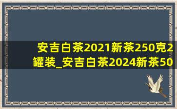 安吉白茶2021新茶250克2罐装_安吉白茶2024新茶500g