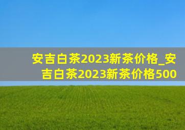 安吉白茶2023新茶价格_安吉白茶2023新茶价格500