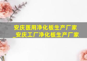 安庆医用净化板生产厂家_安庆工厂净化板生产厂家
