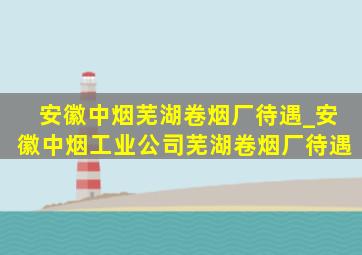 安徽中烟芜湖卷烟厂待遇_安徽中烟工业公司芜湖卷烟厂待遇