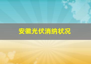 安徽光伏消纳状况