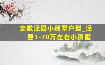 安徽泾县小别墅户型_泾县1-70万左右小别墅