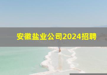 安徽盐业公司2024招聘