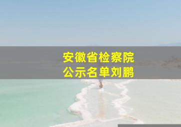 安徽省检察院公示名单刘鹏