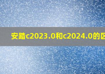 安踏c2023.0和c2024.0的区别