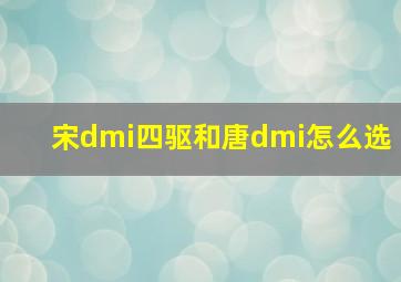 宋dmi四驱和唐dmi怎么选