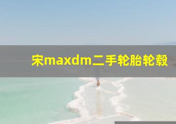 宋maxdm二手轮胎轮毂