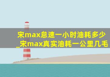 宋max怠速一小时油耗多少_宋max真实油耗一公里几毛