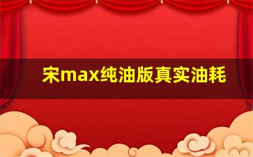 宋max纯油版真实油耗