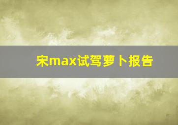 宋max试驾萝卜报告