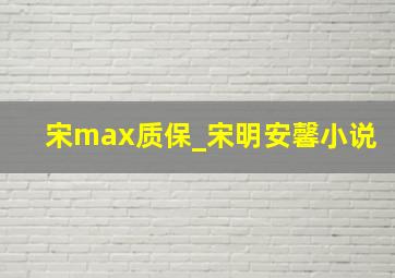 宋max质保_宋明安馨小说