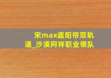 宋max遮阳帘双轨道_沙漠阿祥职业领队